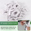 50pcs Window Screen Frame Corner Replacement Kit 5/16 in X 3/4 in for Various Window and Door 3