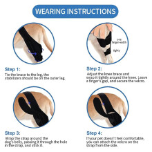 Dog Knee Brace for Torn ACL Hind Leg, Rear Leg Support with Metal Side Stabilizers,Adjustable Cruciate Ligament Brace S