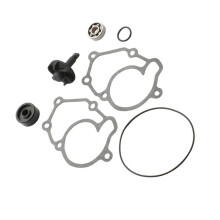 100110350 Water Pump Repair Kit for Rieju Enduro 125 RS3 125cc 4T LC
