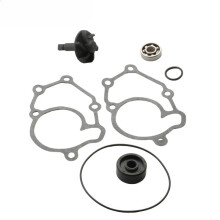 100110350 Water Pump Repair Kit for Rieju Enduro 125 RS3 125cc 4T LC