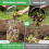 2 Pack Worm Composter Worm Bin, Stainless Steel Inground Compost Bin with Handle, Metal Worm Composting System 5
