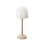 High Footed Design LED Desk Lamp Atmosphere Wave Projection Night Light Touch Control Remote Control 8