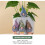 1set Automatic Watering Devices, Ceramic Drip Irrigators for Gardens, Small Wine Bottle-Mouth Watering Device 3