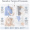 Tábua de Passar Roupa A  com Luva, Tábua de Passar Compacta para Viagem, Ideal para Casa, Dormitório, Hotel e Trailer, com Base Dupla Face. 5