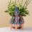1set Automatic Watering Devices, Ceramic Drip Irrigators for Gardens, Small Wine Bottle-Mouth Watering Device 5