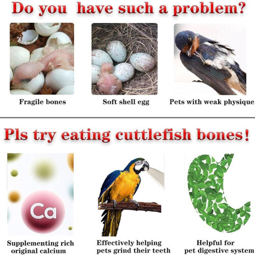 20 Pcs 4.3-5.1'' Cuttlebone for Parakeets Cuttlebone for Birds - Cuttlefish Bone Bulk Chew Toy Bird Bites Calcium Stone 1