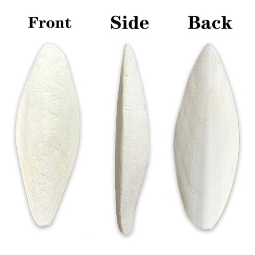20 Pcs 4.3-5.1'' Cuttlebone for Parakeets Cuttlebone for Birds - Cuttlefish Bone Bulk Chew Toy Bird Bites Calcium Stone 2
