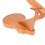 Support de Broderie en Bois Réglable pour Table, Support Universel pour Broderie à la Main 5