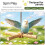 Perch Stand,A Rotating Toy Designed for Relieving Boredom,Beak Conditioning,Claw Care,Chewing Training,Perching 2