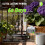 RAINPOINT Large Display Automatic Plant Waterer Indoor for Pot Plants,Vacation Self Watering Drip Irrigation System Device Pump 5
