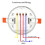 Microwave  Sensor Microwave Ceiling Motion Sensor 360 Degree Sensor  Motion Detector for Commercial 7