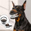 Realistic Dog Muzzle Mask Scary Teeth Halloween Costume No Blood，S 3
