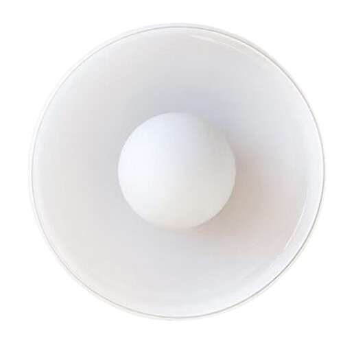 Glass Ceiling Light with Lamp Source for Home Decor and Daily Lighting White