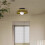 Glass Ceiling Light with Lamp Source for Home Decor and Daily Lighting Brown 9