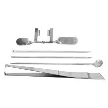 Capon Tool Kit 5 Pcs Veterinary Instrument for Poultry Farms Easy to Operate Chicken Caponization Tool Safe Design