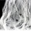 of 4 White Webs Halloween Decoration Props Spider Webs including 5