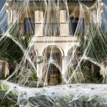 obqo Cover 3000 Square Feet 500g Halloween Spider Web Stretchable Cobweb with 60 pcs Small Spiders Halloween Indoor Outdoor Decorations