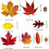 Stickers,6 Sheets Autumn Home Decor Reusable Autumn Leaves Window 4