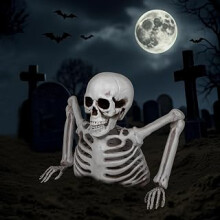Halloween Skeleton Decoration, Half-Body with Arms, 24.5 cm Width, White, Realistic Details