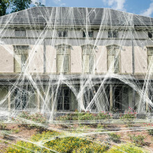 6000 Square Feet 1000g Halloween Spider Web Stretchable Cobweb with 100 pcs Small Spiders Halloween Indoor Outdoor Decorations