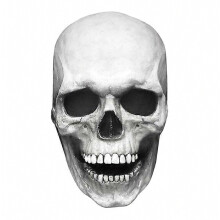 Full Head Skull Mask Carnival Adults Realistc Anonymous Halloween Moveable Mouth Jaw Anime Horror Helmet Skeleton Headge