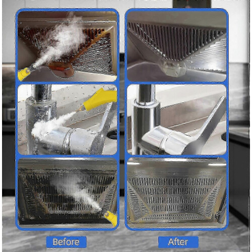 Ατμοκαθαριστής για το σπίτι 2500W υψηλής πίεσης 1100ml βαρέως τύπου 2
