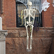 Halloween Skeleton Decoration, Posable Full Body Skeleton with Movable Joints, Spooky Prop for Yard, Garden, Lawn, Patio