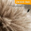 Extendable Duster Handheld Bendable Ostrich Duster Multipurpose Home Cleaning Tool for Ceiling Fan 5