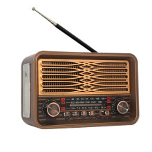 Radio Vintage Multifunzione Portatile FM AM SW, Altoparlante Wireless, Soundbar con Torcia A LED