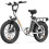 URLIFE E20 48V13AH Step-thru City 50mi EBike,white 1