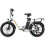 URLIFE E20 48V13AH Step-thru City 50mi EBike,white 3
