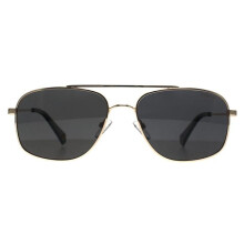 Óculos de sol Polaroid PLD 6235/S/X 2F7 M9 cinza ou cinza polarizado