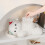 Cute Plush Tissue Box With Automatic Operation For Office Desk Decor And Home Organization 6