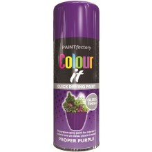 RAPIDE COLOUR IT Spray Paint Purple 250ml