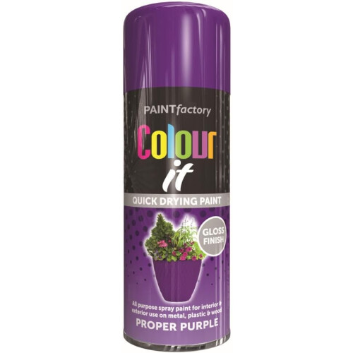 Rapide RAPIDE COLOUR IT Spray Paint Purple 250ml