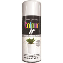 RAPIDE PF COLOUR IT Spray Paint Gloss White 250ml