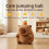 (Peach) Plush Capybara Jumping Toy With Sound Design For Visual Motor Development Skill 1