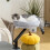 Cat Desk Bed, Cat Hammock 360 Rotatable Adjustable for Window, Table, Work, Grey 3