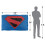 Superman (152cm x 127cm, Multicoloured) Superman 1996 Shield Blanket 4