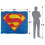 Superman (147cm x 91cm, Multicoloured) Superman 1993 Shield Soft Touch Blanket 4