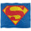 Superman (147cm x 91cm, Multicoloured) Superman 1993 Shield Soft Touch Blanket 1