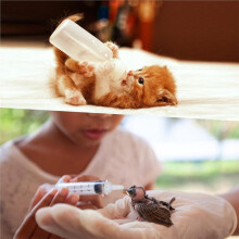 Flessenset voor Puppy'S, 17 Stuks voor Het Voeden van Kittens, Puppy'S en Pasgeboren Huisdieren met Melk, Inclusief Spuitjes van 1 Ml, 5 Ml en 10 Ml