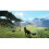 LOST EMBER: WOLF PACK EDITION – Xbox Series X Game 5