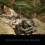Microsoft Halo Campaign Evolved - PS5 Game 5