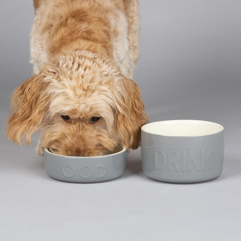 Scruffs Classic 2 Piece Dog Food & Water Bowl Set - 15cm each - Grey - Image 3
