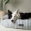 Scruffs Scruffs Coastal Dog/Pet Box Bed (L) 1