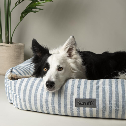 Scruffs Scruffs Coastal Dog/Pet Box Bed (L)
