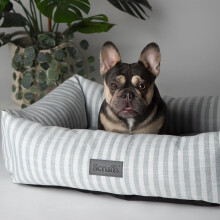 Scruffs Coastal Dog/Pet Box Bed (M)