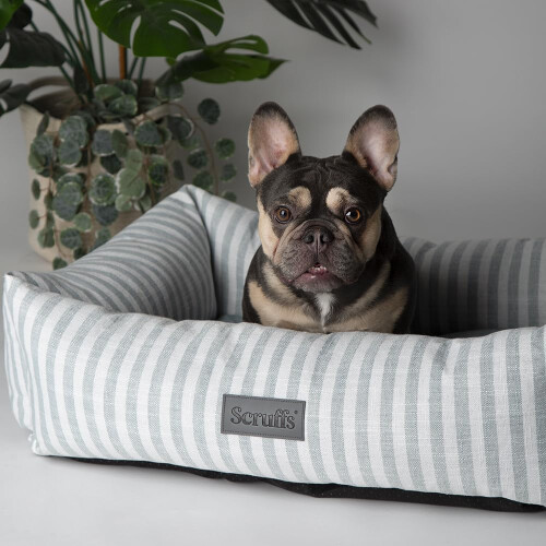 Scruffs Scruffs Coastal Dog/Pet Box Bed (M)