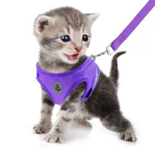 FEimaX No Pull Small Dog Harness and Leash Set, Soft Mesh Puppy Reflective Adjustable Harnesses for Walking Escape Proof Cat Kitten Step-in